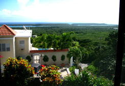 Vieques PR villa rental: Colibri Casa