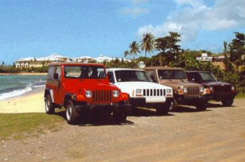 Rent a Jeep and go beach hopping on Vieques PR