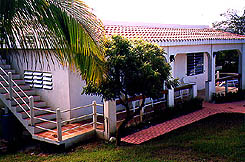 Vieques PR villa rental: Vivo Grande
