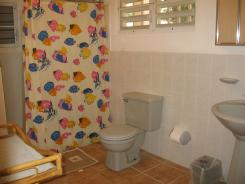 Vivo Grande Downstairs Bath